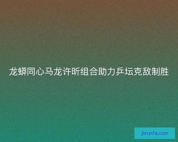 龙蟒同心马龙许昕组合助力乒坛克敌制胜